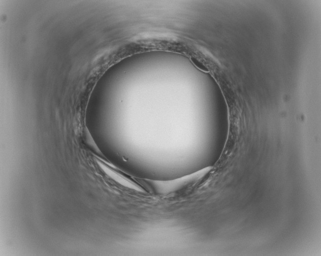 X0000070380965200607072150