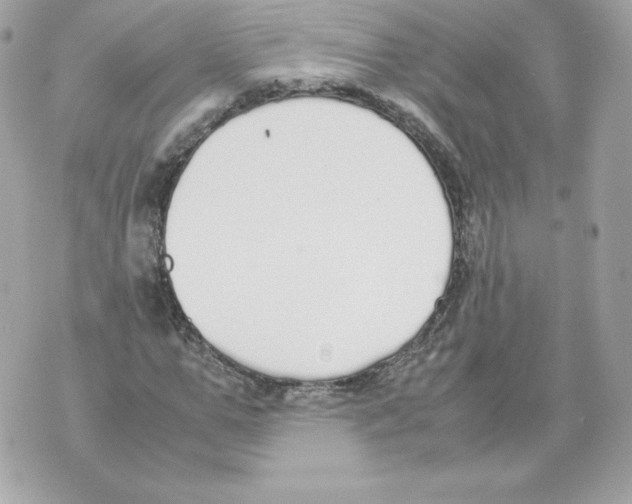 X0000070380967200607072150