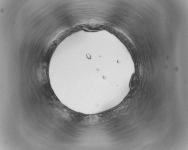 X0000070380968200607072150