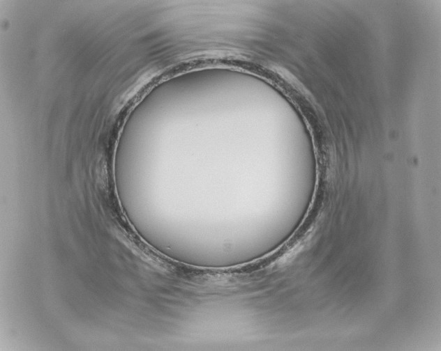 X0000070380969200607072150