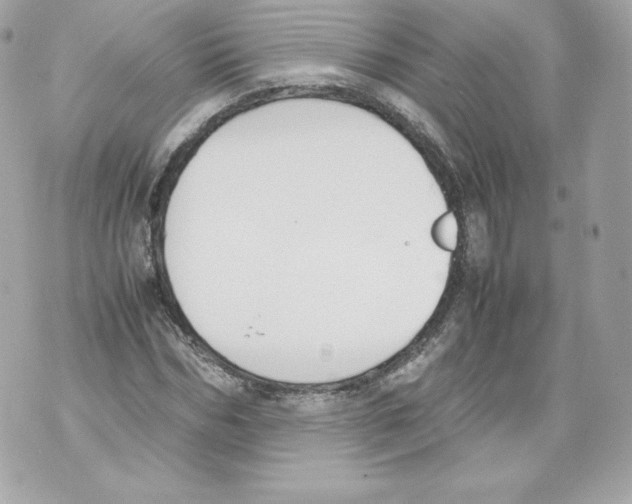 X0000070380970200607072150