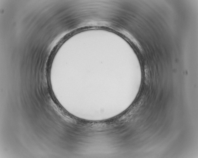 X0000070380972200607072150