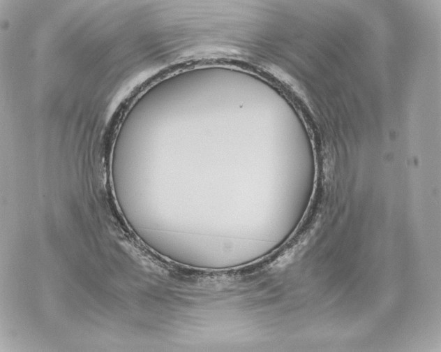 X0000070380973200607072150