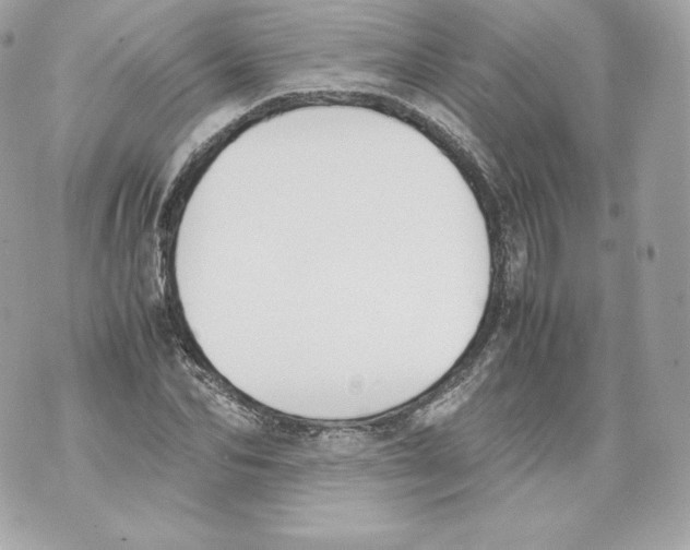 X0000070380974200607072150