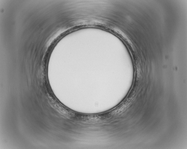 X0000070380975200607072150