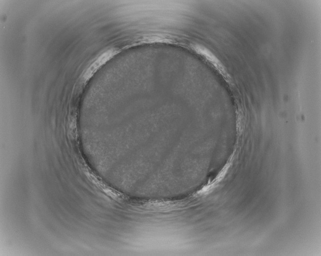 X0000070380977200607072150