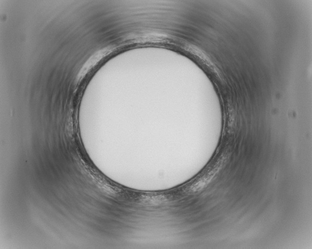 X0000070380978200607072150