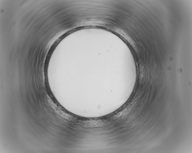 X0000070380980200607072150