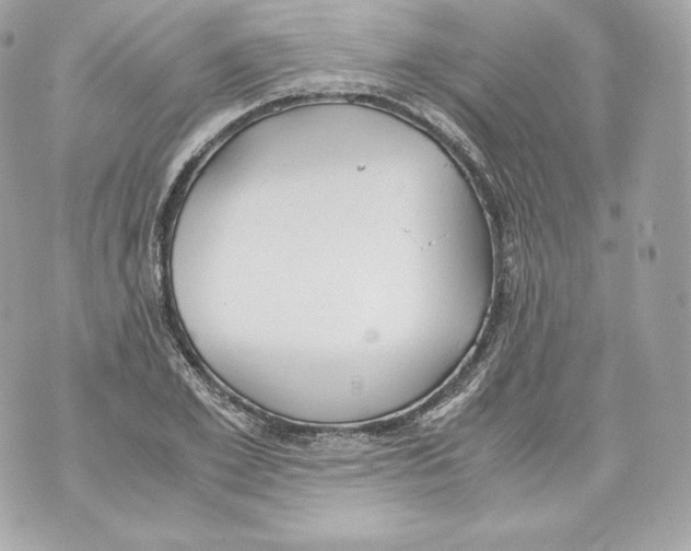 X0000070380981200607072150