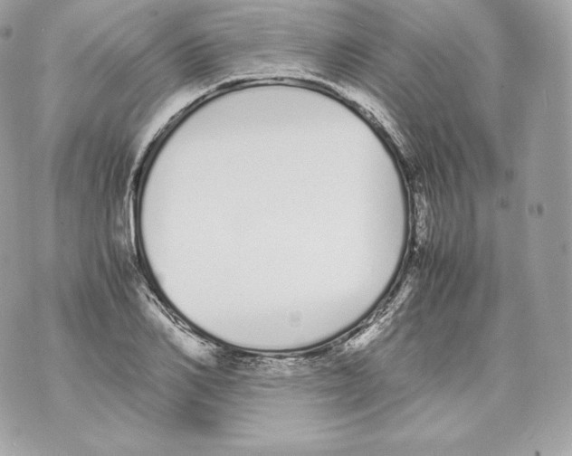 X0000070380982200607072149