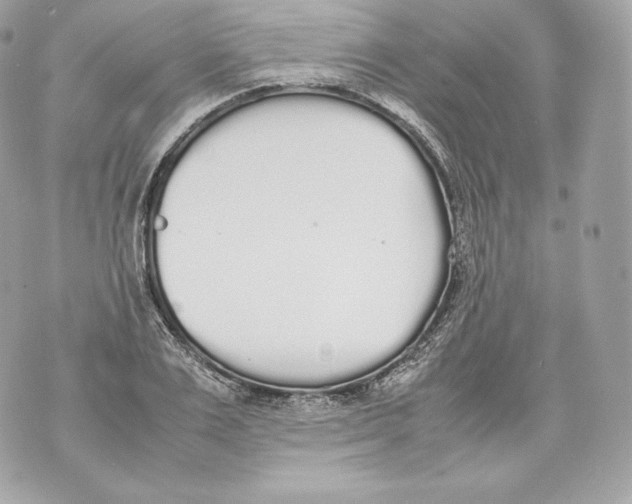 X0000070380983200607072149