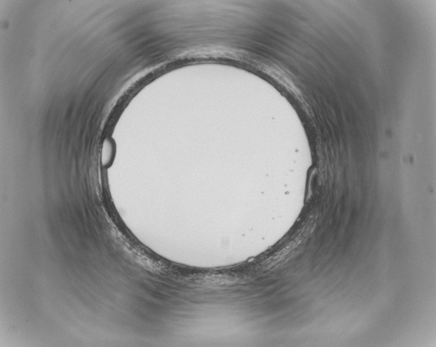 X0000070380984200607072149