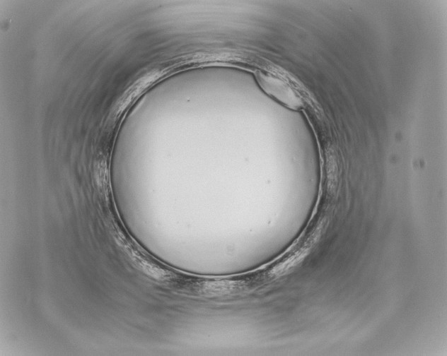 X0000070380985200607072149