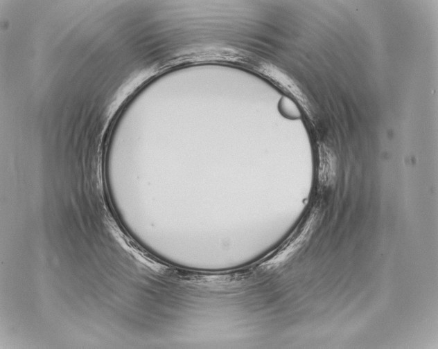 X0000070380986200607072149