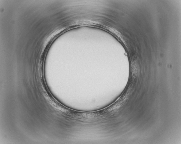 X0000070380987200607072149