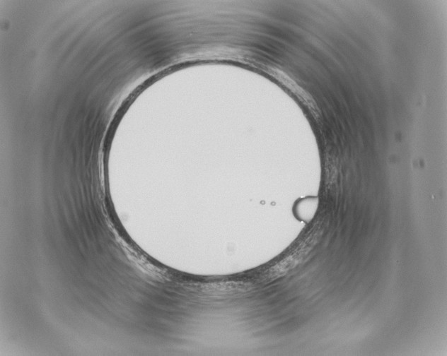 X0000070380988200607072149