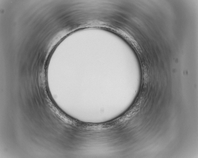 X0000070380990200607072149