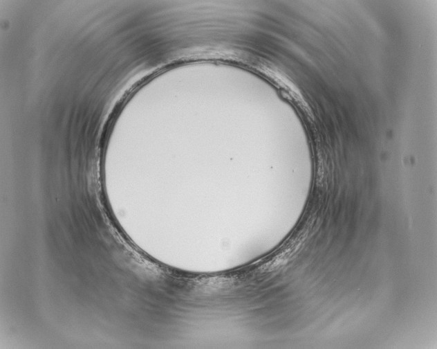 X0000070380992200607072149