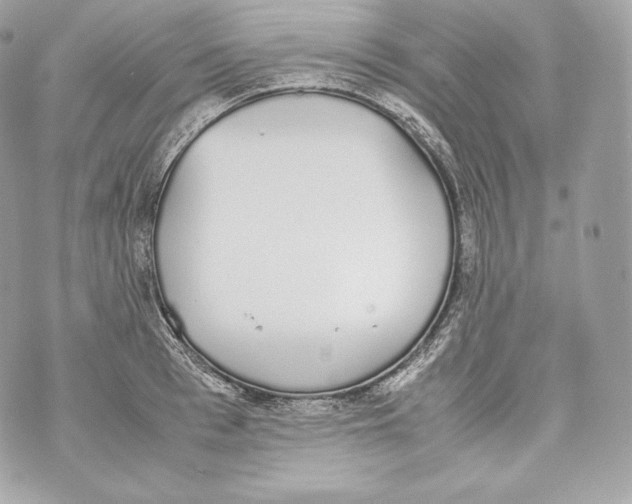 X0000070380993200607072149