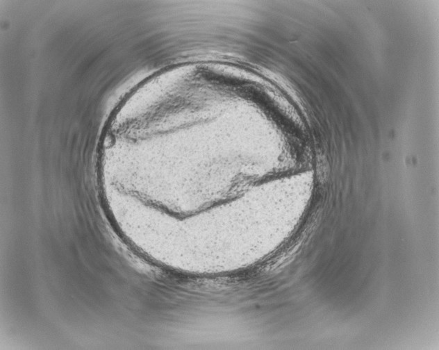 X0000070380995200607072149