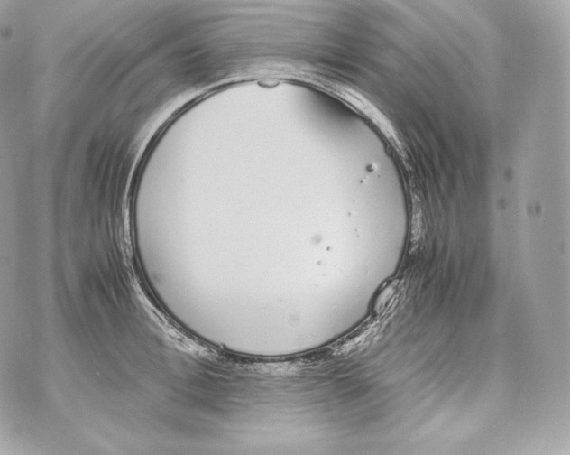 X0000070380996200607072149