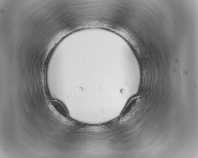 X0000070380998200607072149