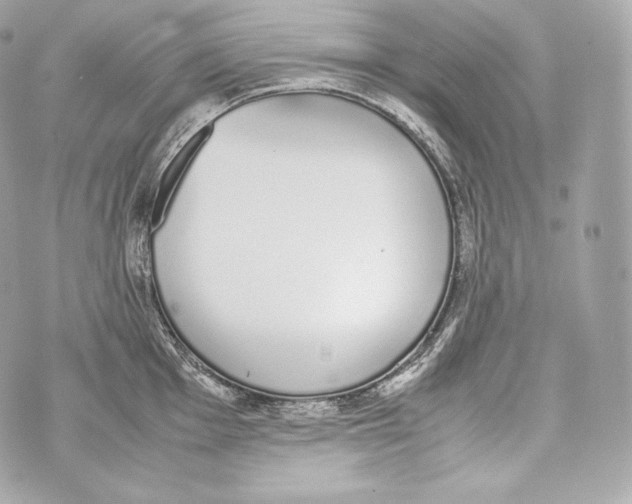 X0000070381001200607072149