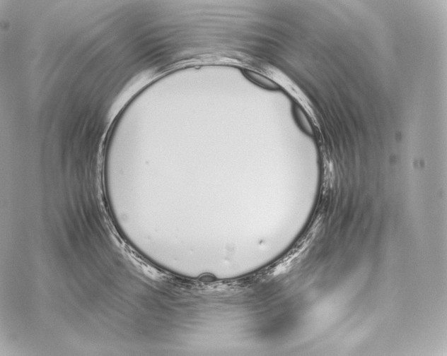 X0000070381002200607072149