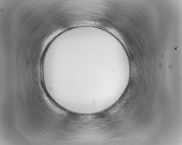 X0000070381003200607072149