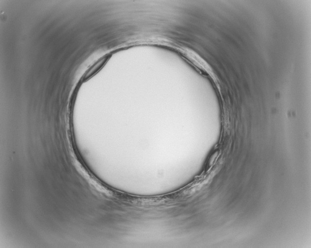 X0000070381005200607072149