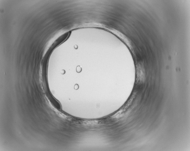 X0000070381006200607072149