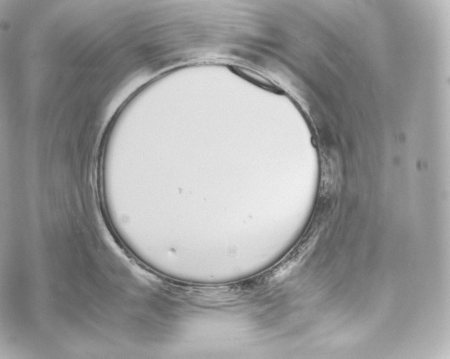 X0000070381007200607072149