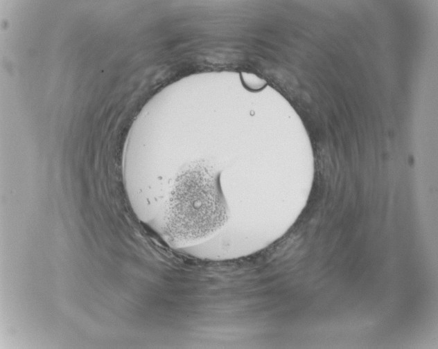 X0000070381009200607072148