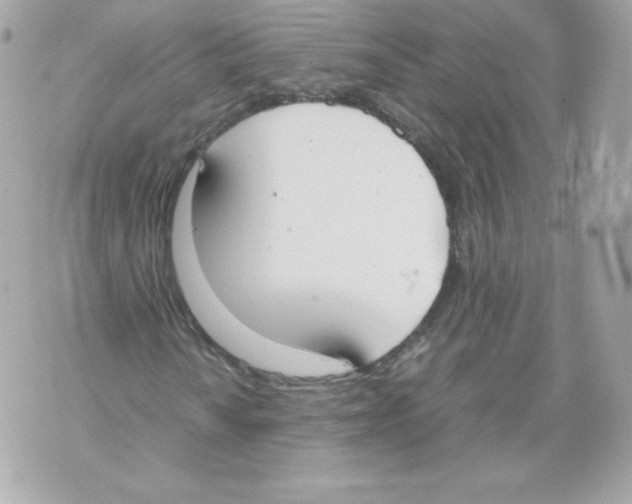 X0000070381010200607072148