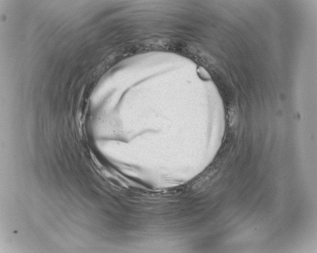 X0000070381011200607072148