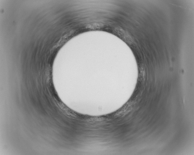 X0000070381012200607072148