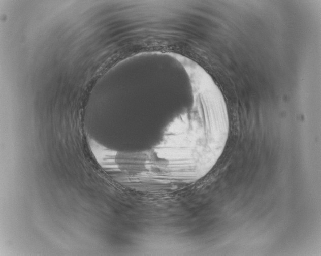 X0000070381013200607072148