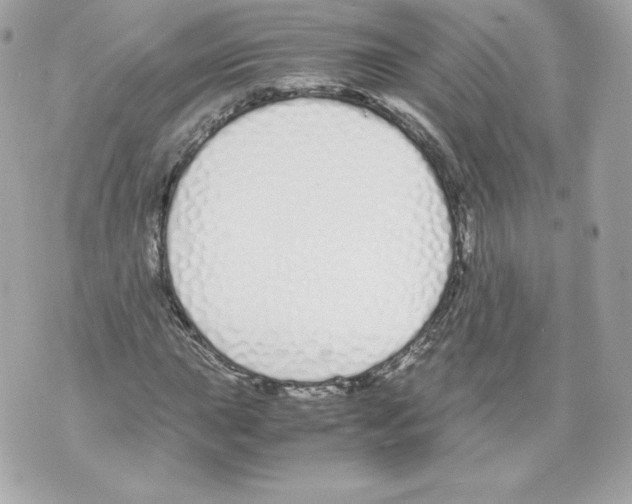 X0000070381015200607072148