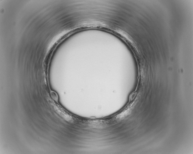 X0000070381022200607072149