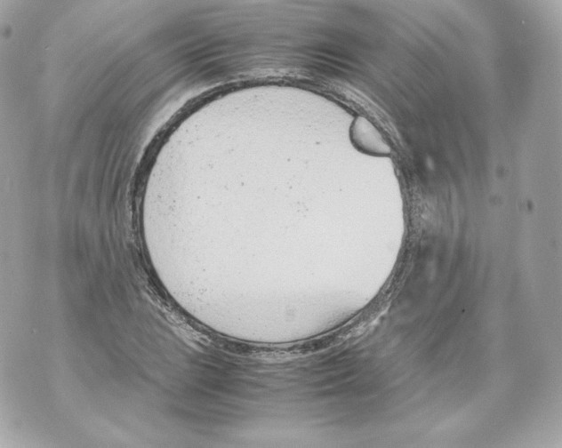 X0000070381023200607072149