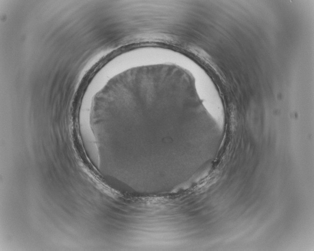 X0000070381024200607072149