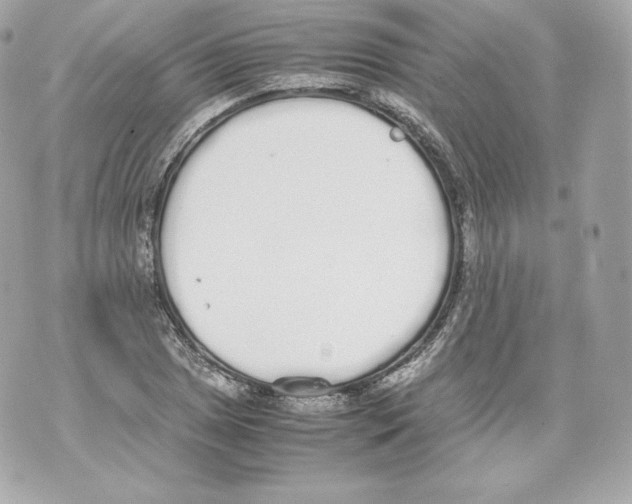 X0000070381025200607072149