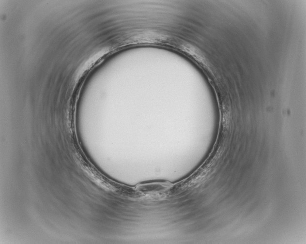 X0000070381026200607072149