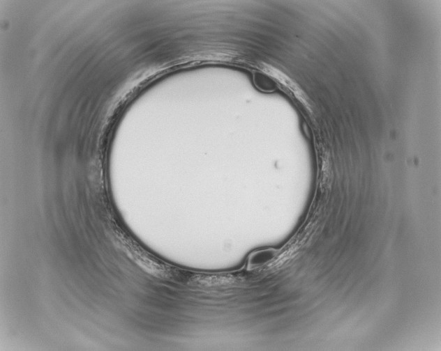 X0000070381027200607072149