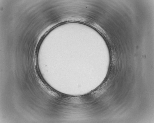 X0000070381028200607072149