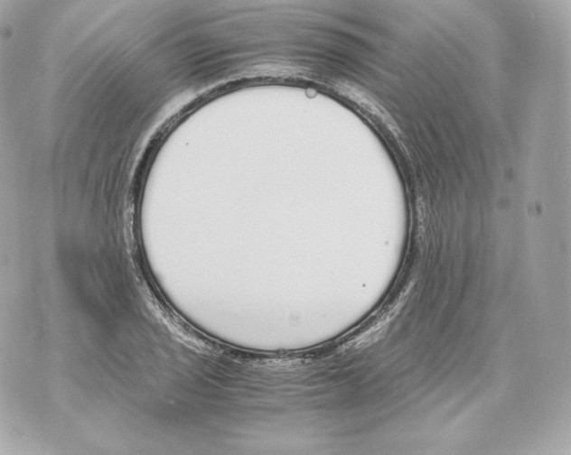 X0000070381029200607072149