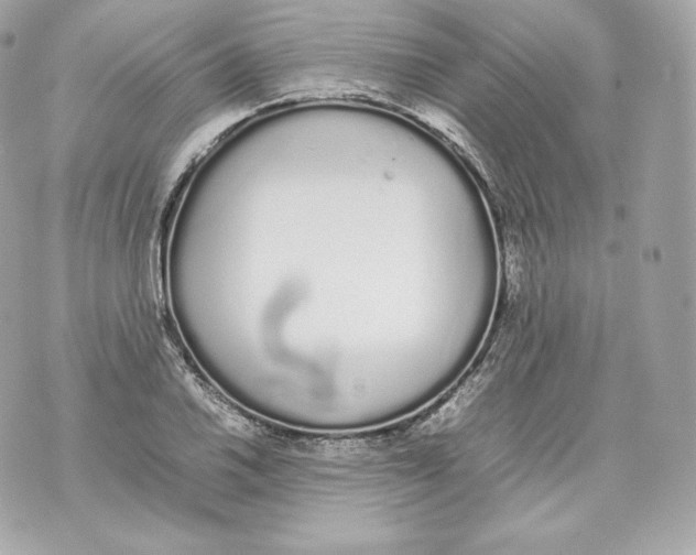 X0000070381030200607072149