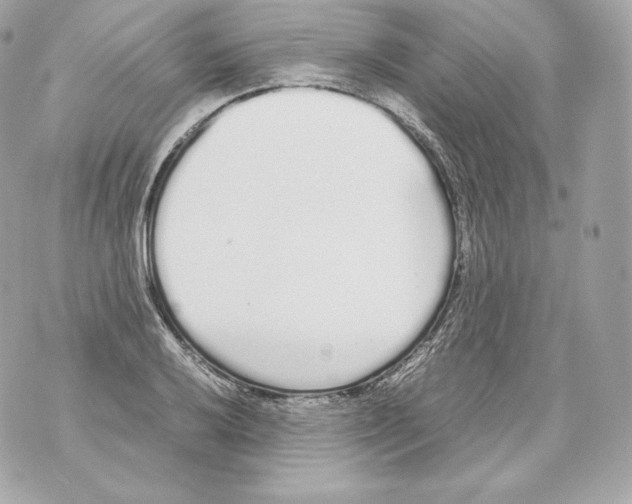 X0000070381032200607072149