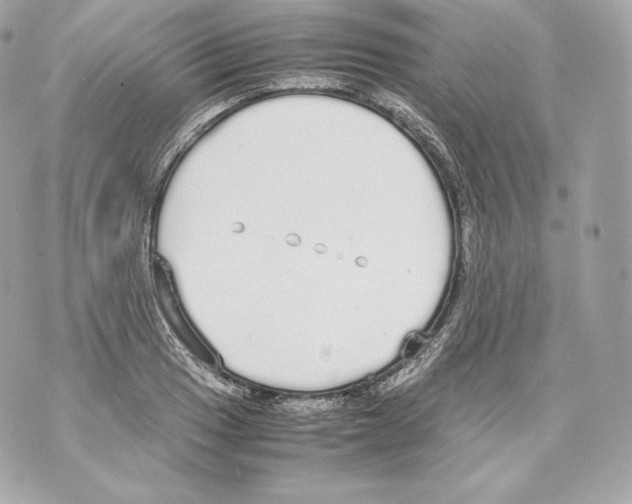 X0000070381033200607072149