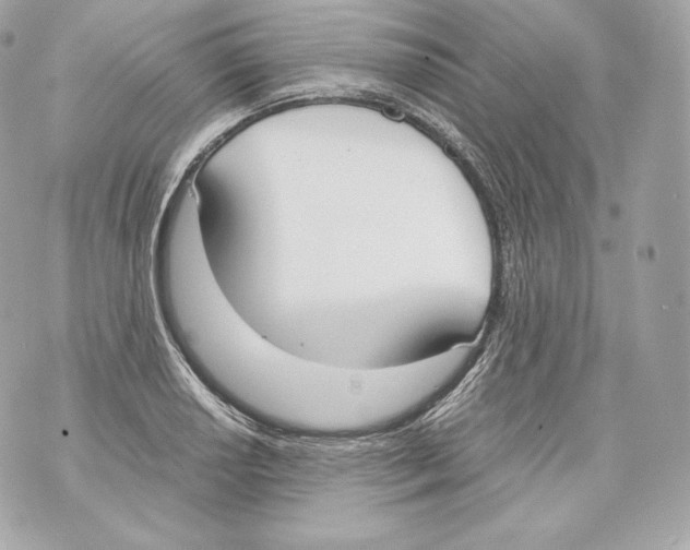 X0000070381034200607072149